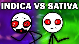 INDICA VS SATIVA [upl. by Raynell]