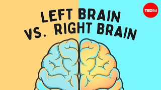 The left brain vs right brain myth  Elizabeth Waters [upl. by Erbes449]