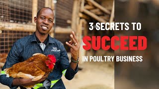 3 Secrets To A Successful Poultry Business [upl. by Deena]