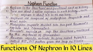 Nephron Working Function  Nephron 10 Line Working  Nephron 10 Lines  Nephron Importance Essay [upl. by Maddis]