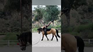 Dena Weiner Horse Vaulting EVX Vaulting Duarte CA Sep 29 2023 [upl. by Nnaer411]