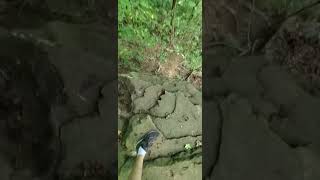 A Cliff  Cuyahoga Falls trail cliff cliffhanger viralshorts vlog outdoors outside trending [upl. by Suhpesoj]