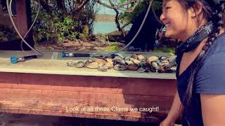 Doran Regional Campground  Clamming  Gaper Clams Crabbing  Jetty  Catch amp Cook [upl. by Linzer462]