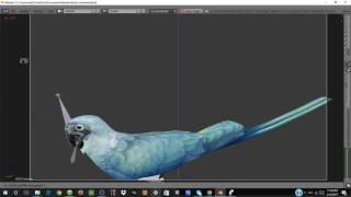 blender spix macaw talking animation [upl. by Cornia]