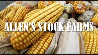 Picking Corn 2016 [upl. by Alberik]