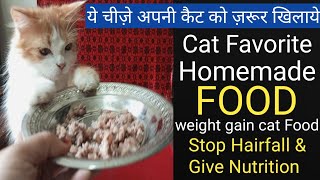 Persian Cat Food Recipe  Homemade Cat Food  Cheapest Cat Food  Weight Gaining Cat Food 🚫 Hairfall [upl. by Tawnya]