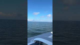 Farrier F22 low wind sailing on the Pamlico Sound [upl. by Hsakaa]