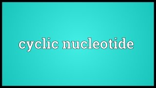 Cyclic nucleotide Meaning [upl. by Monique]