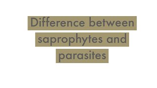 Difference between saprophytes and parasites biology ncertscience basicknowledge teaching [upl. by Hadihsar]