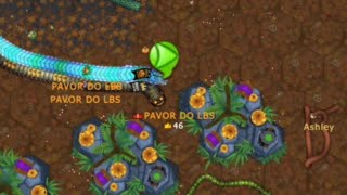 gameplay Little big snake  Serv Sp farming apk zoom script [upl. by Asirrac]