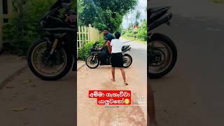 අදරේටනෙ ගහන්නෙ 😁❤️‍🩹 r1automobile lankanbike srilanka japanbike rider bus coking ytshorts [upl. by Namra]