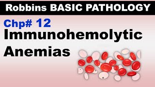 Ch12  Immunohemolytic Anemia  Coomb Test  Warm and Cold Antibodies Blood Pathology [upl. by Phillipe]