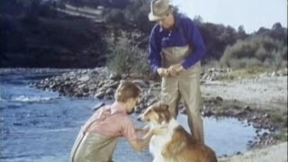 Lassie  Episode 402  quotLassie Catches the Poachersquot  Season 12 Ep 17  01021966 [upl. by Vesta]