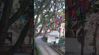 hermoso parque del centro de tlalpan de ciudad de mexico [upl. by Yelrebma]