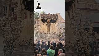 👆 VÍDEO COMPLETO VIRGEN DE LA PAZ TRIBUNA OFICIAL  LARIOS SEMANA SANTA MÁLAGA semanasanta [upl. by Schou]