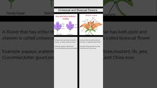 UNISEXUAL AND BISEXUAL FLOWERS biology icsebiology icsetextbook educational shorts [upl. by Mosi]