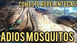 ADIOS mosquitos CON ESTE REPELENTE CASERO PARA CABALLOS horse caballos [upl. by Atikahs]