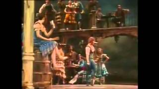 Baryshnikov Don Quijote slow motion [upl. by Richel]