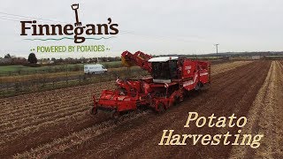 Finnegans Farm  Harvesting Potatoes With Grimme Varitron 270  4K [upl. by Aitsirhc532]