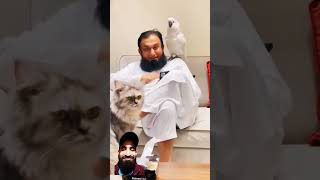 Tariq Jameel sahab ke kandhe per tota Dekho 💚 shorts [upl. by Feliza]