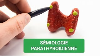 SÉMIOENDOCRINO🩺 SÉMIOLOGIE PARATHYROÏDIENNE 3ÈME MÉDECINE ✅Unité3🩺❤️ [upl. by Laefar864]