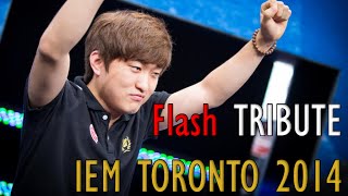 Flash  IEM TORONTO 2014 TRIBUTE  quotGodquot is back [upl. by Merrie95]