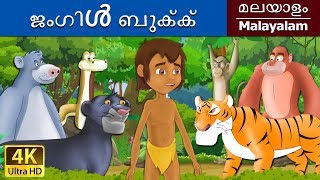 ജംഗിൾ ബുക്ക്  Jungle Book in Malayalam  Fairy Tales in Malayalam  MalayalamFairyTales [upl. by Yleak]