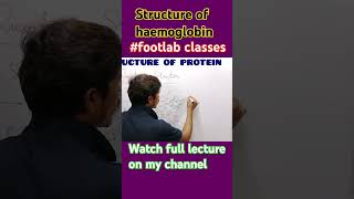 structure of haemoglobin  biomolecules footlab classes Rohit [upl. by Hadwin775]