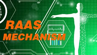 quotRAAS Mechanism Explained A Comprehensive Guidequot quotHow the RAAS System Regulates Blood Pressurequot3 [upl. by Austin543]