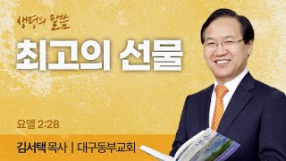 최고의 선물 요엘 228  김서택 목사  대구동부교회  생명의 말씀 [upl. by Benilda]