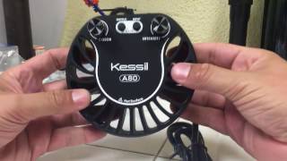 Kessil A80 Unboxing and Lite Review [upl. by Helli928]