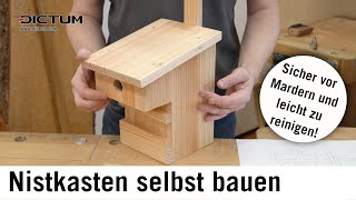 Mardersicheren Nistkasten selbst bauen – Bauplan und Anleitung im Blog [upl. by Dominus]