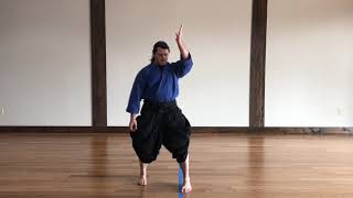 Solo Aikido Practice for Building Muscle Memory [upl. by Burk]