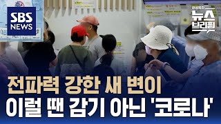 코로나 입원환자 한 달 새 9배…숨은 확진자 더 많은데 예방수칙은  SBS  편상욱의 뉴스브리핑 [upl. by Airotnahs527]