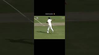 Alistair Cooks Brain FadeOut or Not Out shorts foryou fyp cricket india english [upl. by Anoval693]