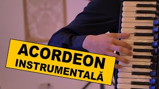 🍷🎹🎹🎹 ACORDEON MUZICA INSTRUMENTALA acordeon instrumentala lautareasca [upl. by Fosdick662]