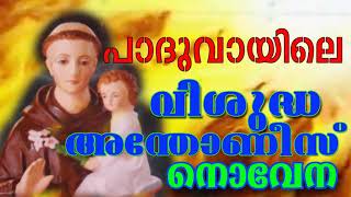 വിശുദ്ധ അന്തോണീസ് പുണ്യവാളന്ടെ നൊവേനSt Antonys Novena  StAntonys Relic Pilgrim CentreKottayam [upl. by Burgess]