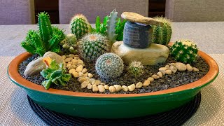 Cacti and Succulents Arrangement [upl. by Ahtel]