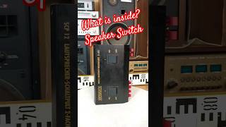 What is inside SPEAKER SELECTOR SWITCH BOX Angelicaaudio [upl. by Netnilc]