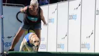 Dock Dogs speed retrieval finals at Clark County Fair [upl. by Territus749]