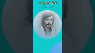 Atta Ullah Khan Niazi Saraiki Song  AWAN Production [upl. by Nylasoj476]