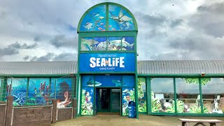 SEA LIFE Sanctuary Hunstanton Vlog 10th March 2019 [upl. by Thilda]