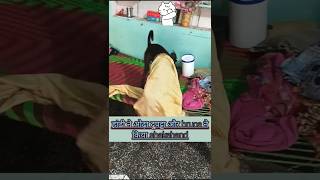 हांडी ने ओढ़ा दुपट्टा और ब्रूस ne kiya shakehand  shortsyoutubeshortstrending funnyshortvideo [upl. by Sacksen]