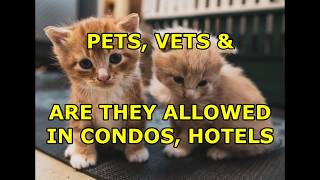 PETS VETS AND ARE THEY ALLOWED IN CONDOS HOTELS  SURPRISING DETAILS [upl. by Esther280]