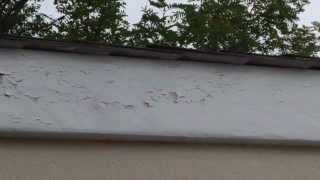 Repair Peeling Paint on Fascia  GREAT tips [upl. by Georges286]