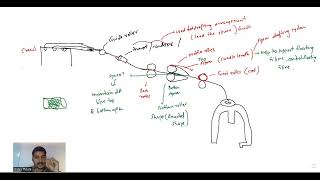 Complete Speed Frame in one Shot  Roving Frame  Simplex  Spinning  Textile Gate 2025 [upl. by Putnem]