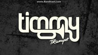 Timmy Trumpet Toca [upl. by Ethelind]