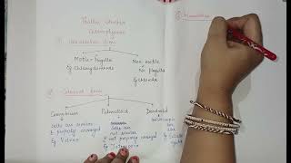 Chlorophyceae Thallus organisation [upl. by Archangel]