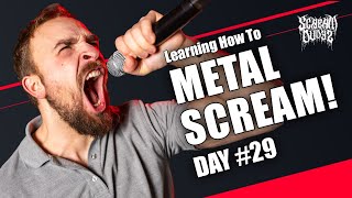 Learning How To Metal Scream  Day 29 [upl. by Seema]