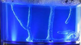 Time Lapsed Ant Farm  Tunnels in Antworks Space Gel Habitat [upl. by Suoivatra]